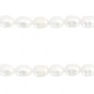 BQ Freshwater pearls rice 7x5mm Natural White