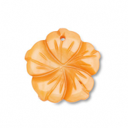 Shell beads Shell pendants