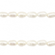 BQ Freshwater pearls rice 7x5mm Natural White