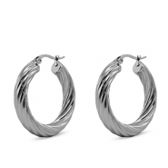 Stainless steel earrings creole Silver