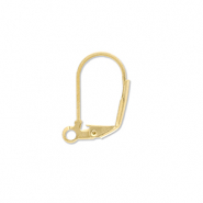 Stainless steel findings closable earrings with loop Gold