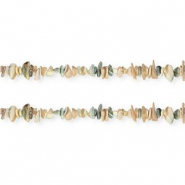 Shell beads chipstone Beige Brown-Dark Green