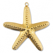 Summer specials Sea life