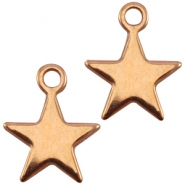 Inspirational Sets Check out our wide range of Designer Quality European metal charms in rose gold