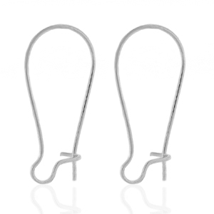Stainless steel earrings Silver