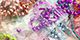 New top faceted beads 