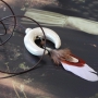 Marvelous jewellery made with DQ metal pendants and beautiful ceramic beads, tooth and horn!